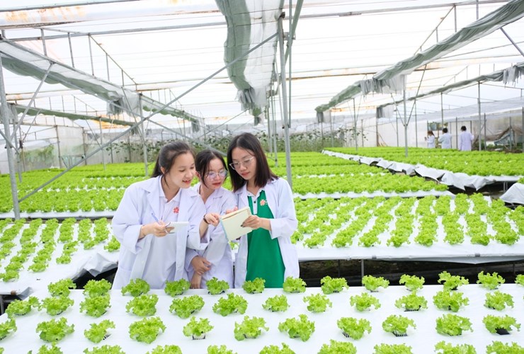 Xu hướng chuyển đổi số trong nông nghiệp đòi hỏi nguồn nhân lực  chất lượng cao